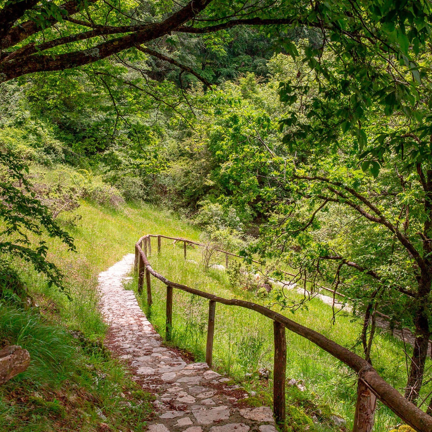 RIETI_camminodifrancesco