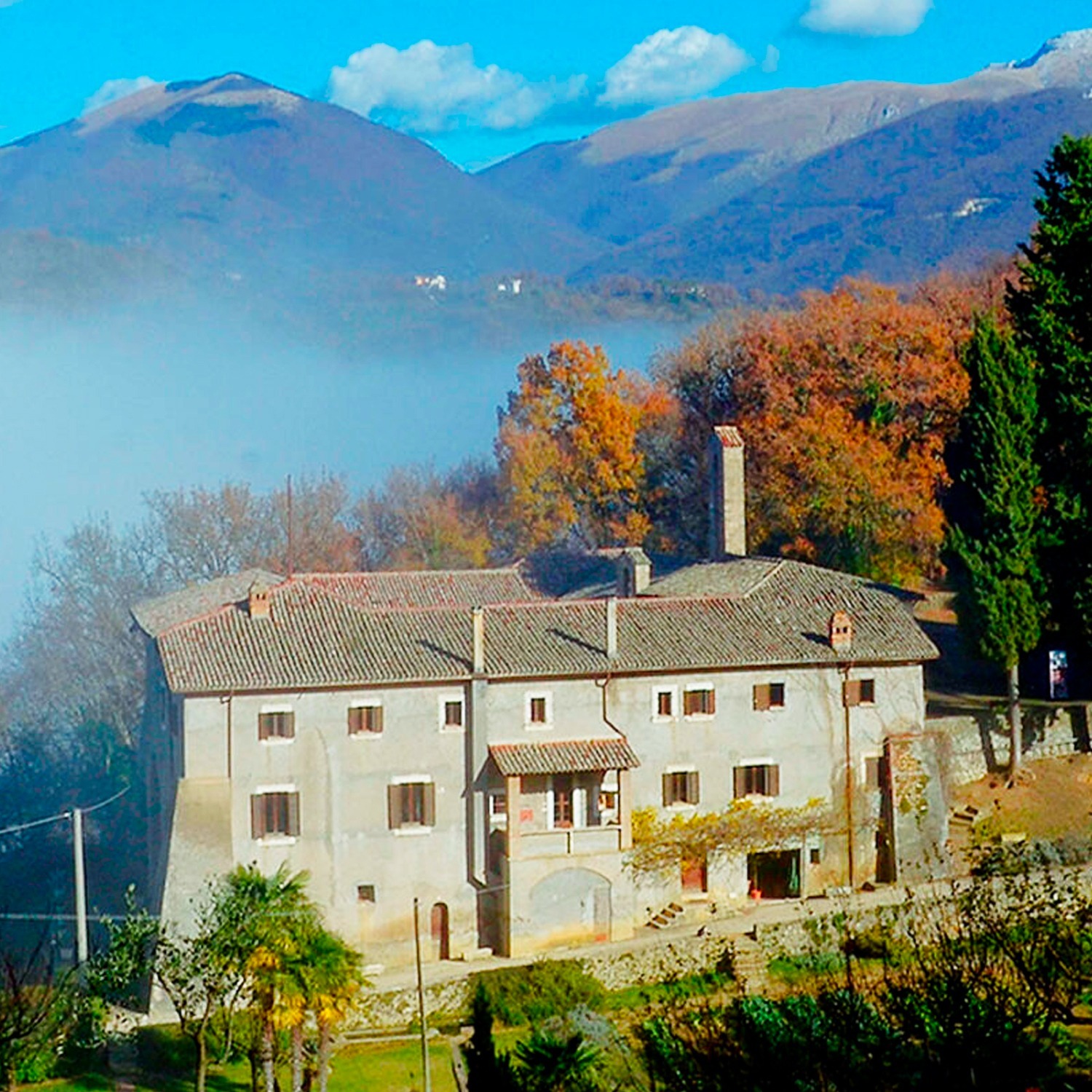 RIETI_laforesta